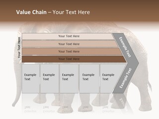 Big Photo Skin PowerPoint Template