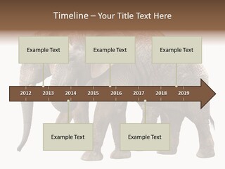 Big Photo Skin PowerPoint Template