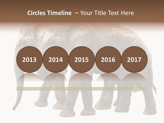 Big Photo Skin PowerPoint Template