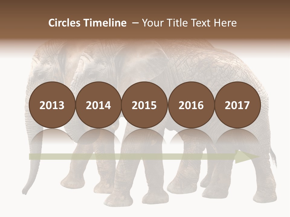 Big Photo Skin PowerPoint Template
