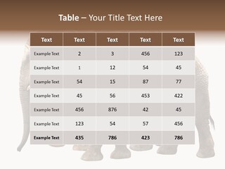 Big Photo Skin PowerPoint Template