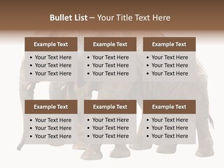 Big Photo Skin PowerPoint Template