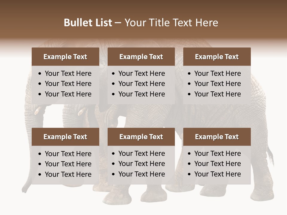 Big Photo Skin PowerPoint Template