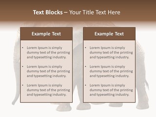 Big Photo Skin PowerPoint Template