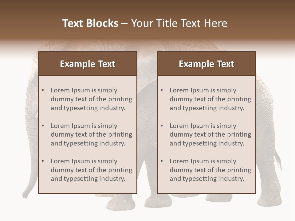 Big Photo Skin PowerPoint Template