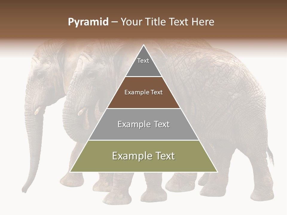 Big Photo Skin PowerPoint Template