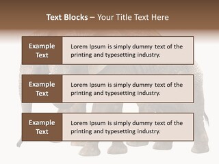 Big Photo Skin PowerPoint Template