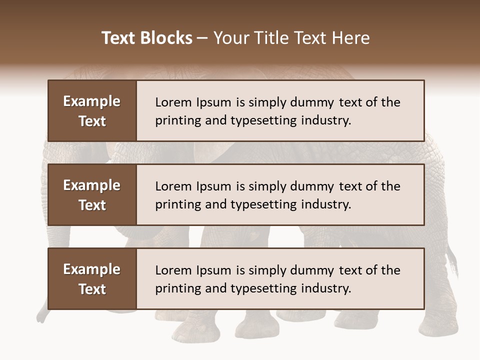 Big Photo Skin PowerPoint Template