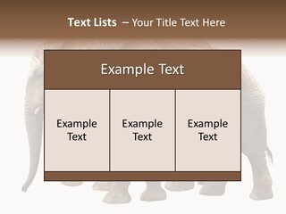 Big Photo Skin PowerPoint Template