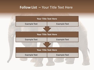 Big Photo Skin PowerPoint Template