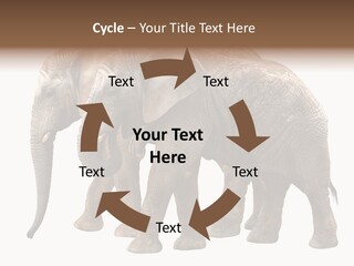 Big Photo Skin PowerPoint Template