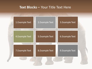 Big Photo Skin PowerPoint Template