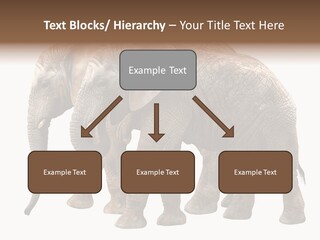Big Photo Skin PowerPoint Template