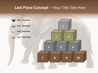Big Photo Skin PowerPoint Template
