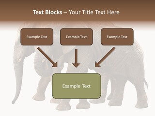 Big Photo Skin PowerPoint Template
