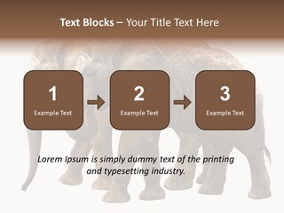 Big Photo Skin PowerPoint Template