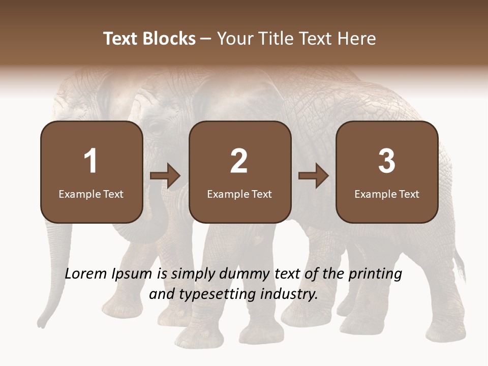 Big Photo Skin PowerPoint Template