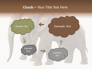 Big Photo Skin PowerPoint Template