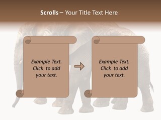 Big Photo Skin PowerPoint Template