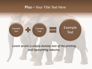 Big Photo Skin PowerPoint Template