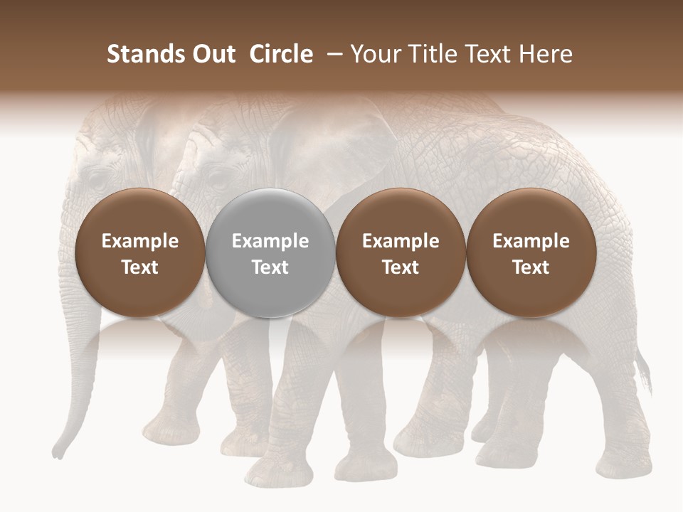 Big Photo Skin PowerPoint Template