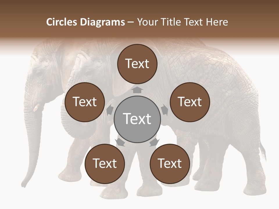 Big Photo Skin PowerPoint Template