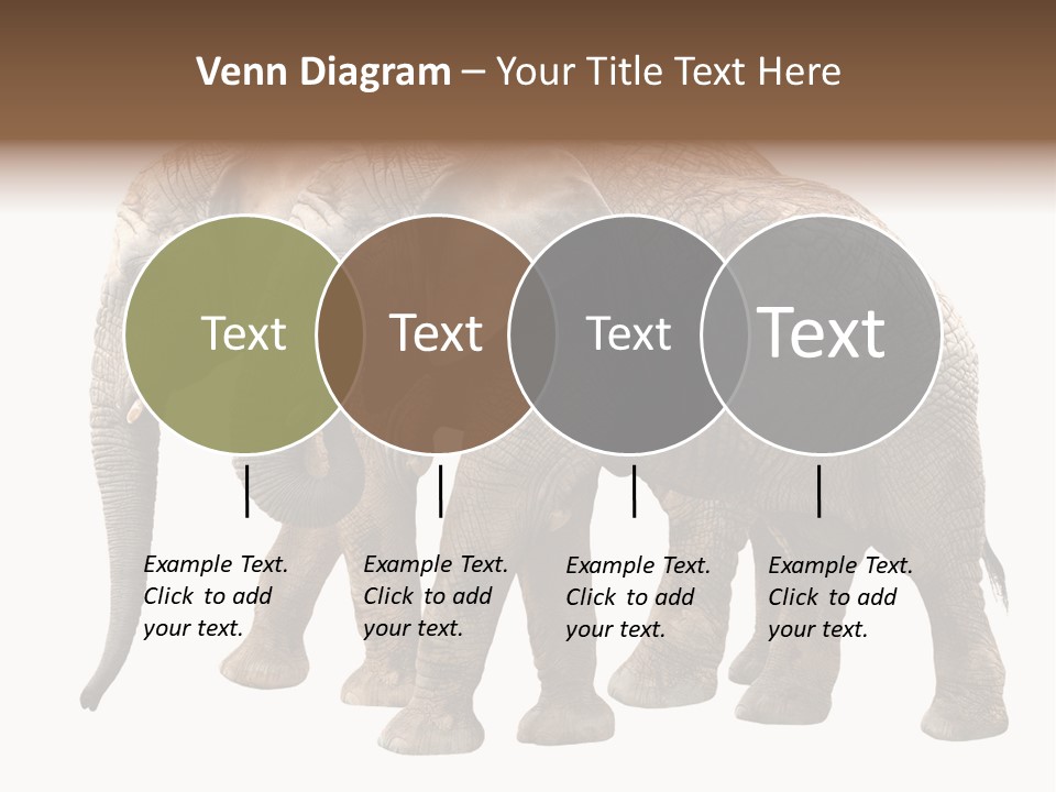 Big Photo Skin PowerPoint Template