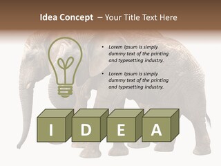 Big Photo Skin PowerPoint Template