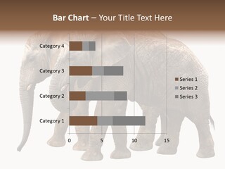 Big Photo Skin PowerPoint Template