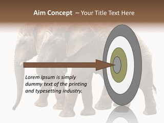Big Photo Skin PowerPoint Template