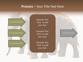 Big Photo Skin PowerPoint Template