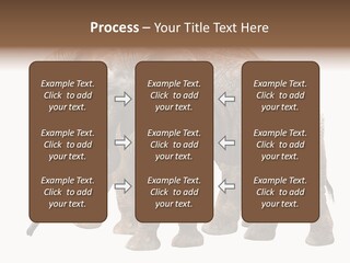 Big Photo Skin PowerPoint Template
