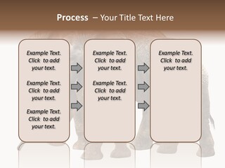 Big Photo Skin PowerPoint Template