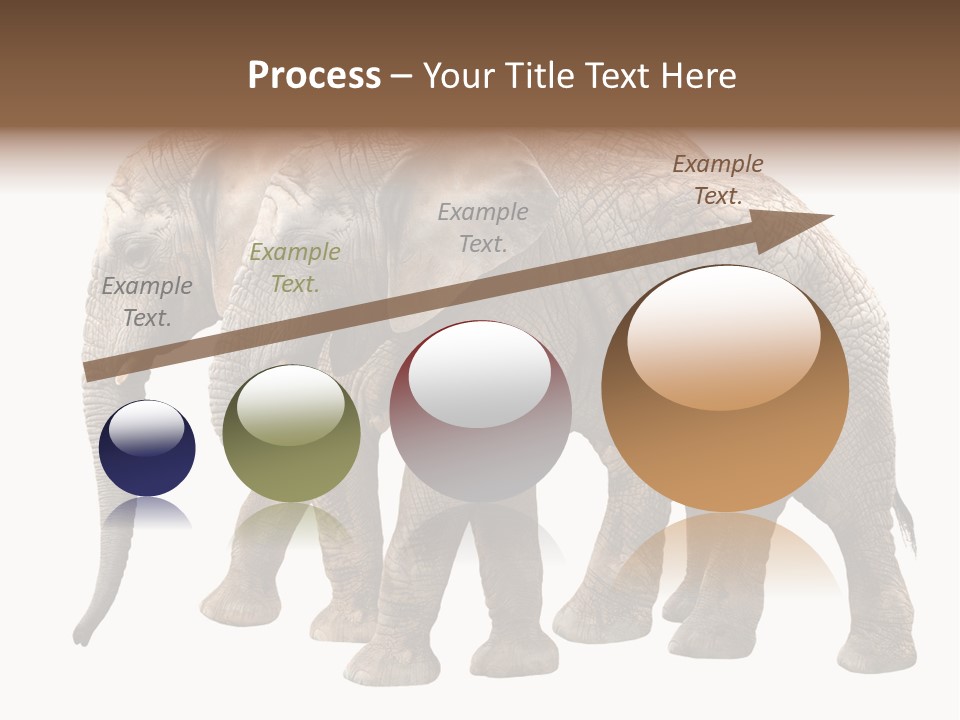 Big Photo Skin PowerPoint Template