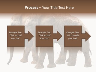 Big Photo Skin PowerPoint Template