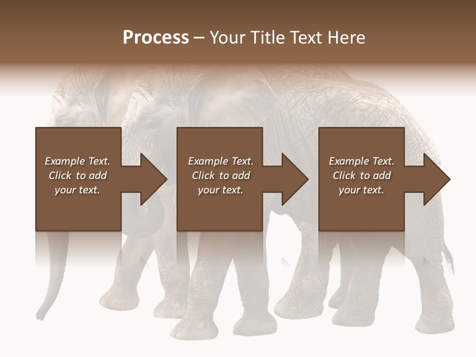 Big Photo Skin PowerPoint Template
