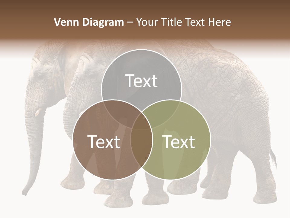 Big Photo Skin PowerPoint Template