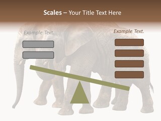 Big Photo Skin PowerPoint Template