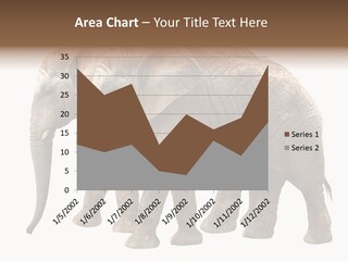 Big Photo Skin PowerPoint Template