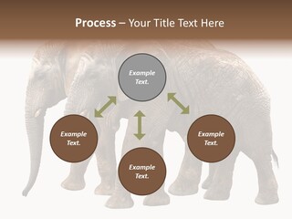 Big Photo Skin PowerPoint Template