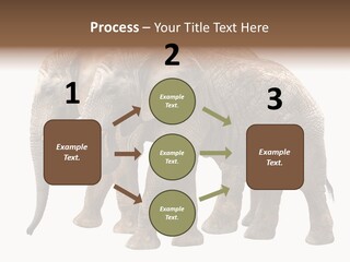 Big Photo Skin PowerPoint Template