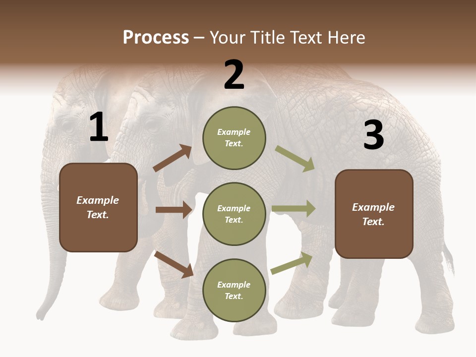 Big Photo Skin PowerPoint Template