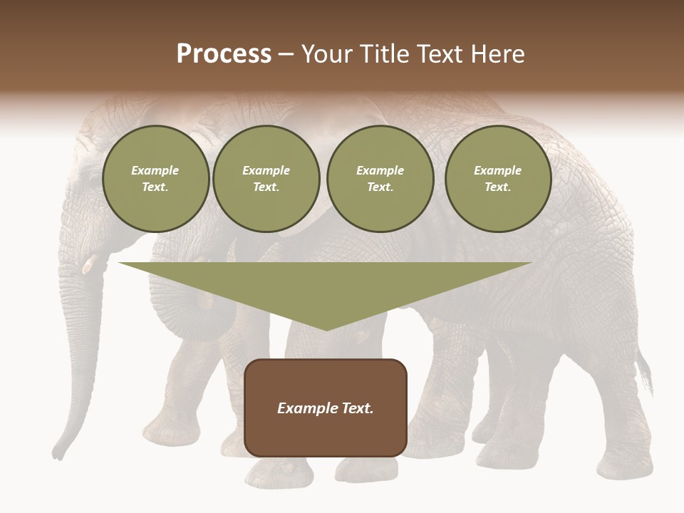 Big Photo Skin PowerPoint Template