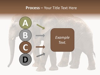 Big Photo Skin PowerPoint Template
