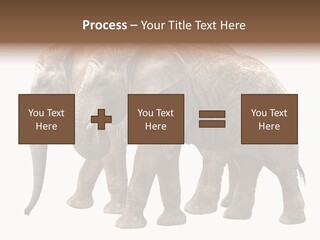 Big Photo Skin PowerPoint Template