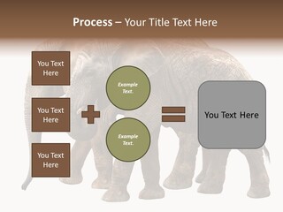 Big Photo Skin PowerPoint Template
