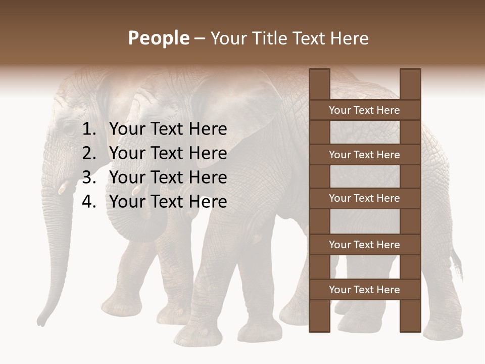 Big Photo Skin PowerPoint Template