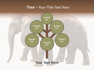 Big Photo Skin PowerPoint Template
