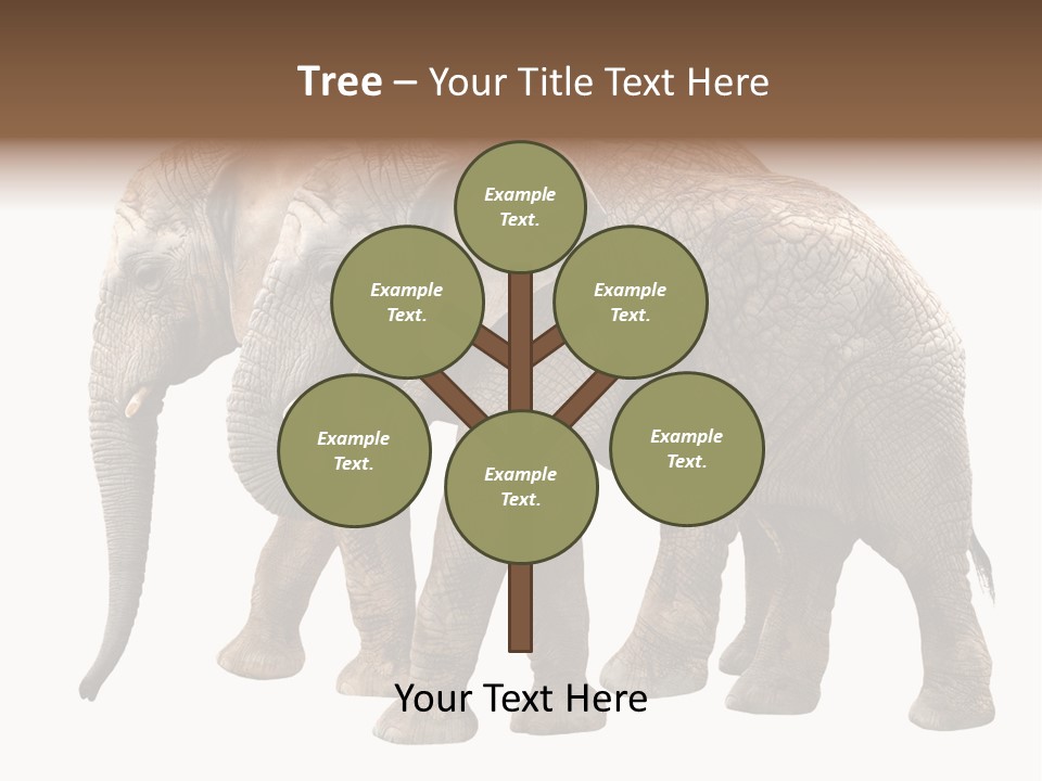 Big Photo Skin PowerPoint Template