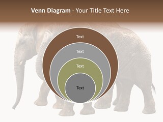 Big Photo Skin PowerPoint Template